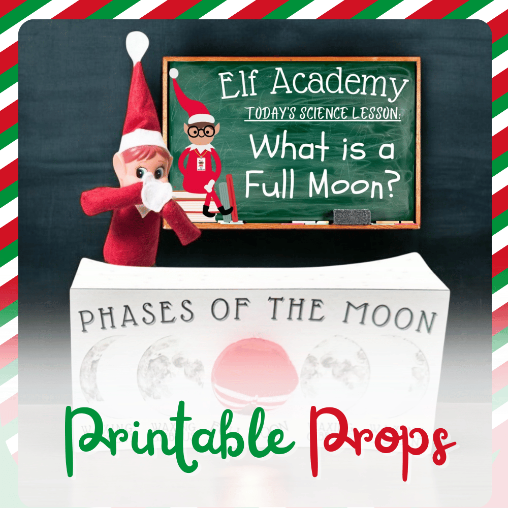 ✨ View All Elf Printables