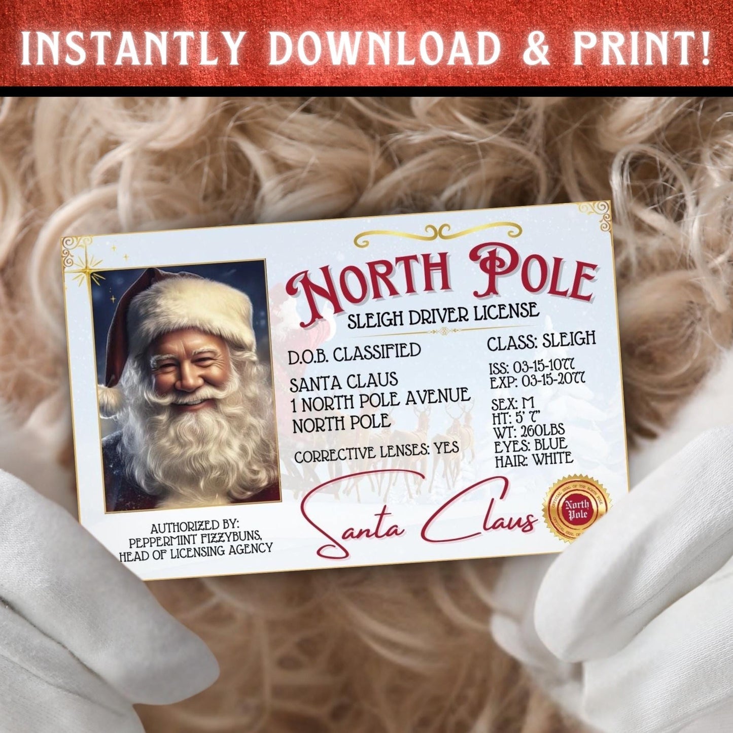 Flat lay of Santa’s Lost Sleigh Driver License printable on Christmas background, fun stocking stuffer idea for kids and families.
