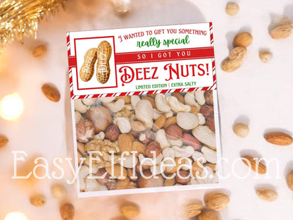  Deez Nuts Christmas printable bag topper template for peanuts gag gift, easy to print, cut, and fold at home for holiday laughs.  